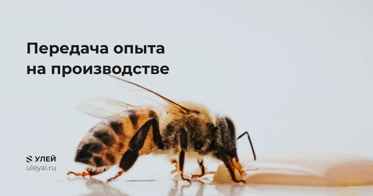 Пчела на капле мёда.